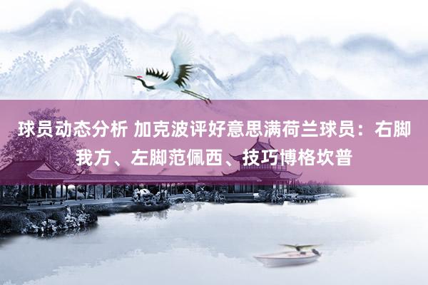 球员动态分析 加克波评好意思满荷兰球员：右脚我方、左脚范佩西、技巧博格坎普