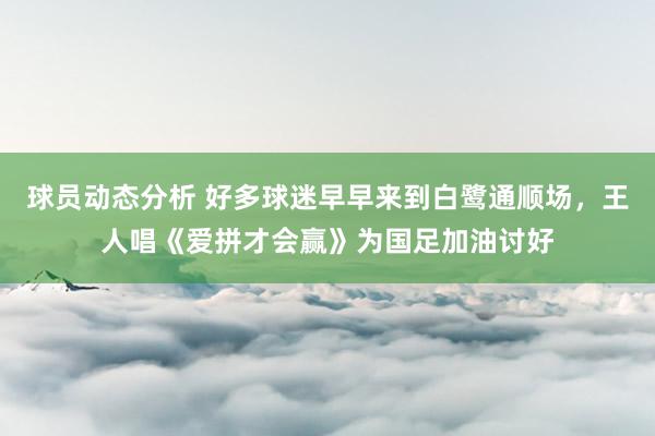 球员动态分析 好多球迷早早来到白鹭通顺场，王人唱《爱拼才会赢》为国足加油讨好