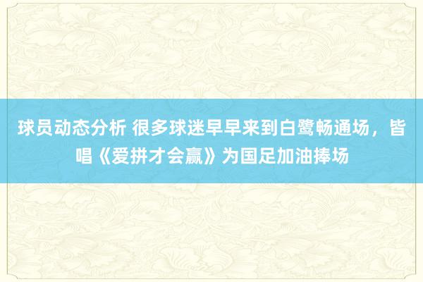 球员动态分析 很多球迷早早来到白鹭畅通场，皆唱《爱拼才会赢》为国足加油捧场