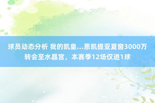 球员动态分析 我的凯皇...恩凯提亚夏窗3000万转会至水晶宫，本赛季12场仅进1球