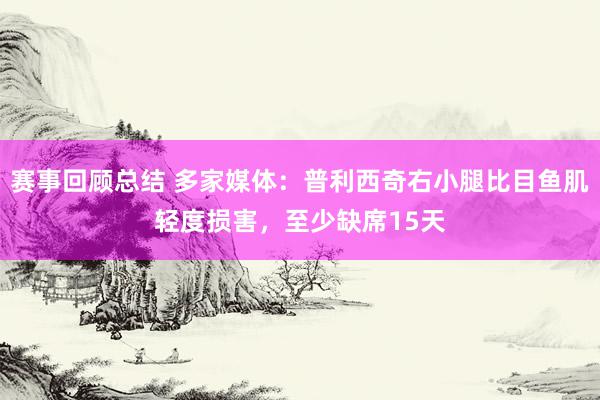 赛事回顾总结 多家媒体：普利西奇右小腿比目鱼肌轻度损害，至少缺席15天