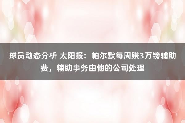 球员动态分析 太阳报：帕尔默每周赚3万镑辅助费，辅助事务由他的公司处理