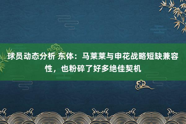 球员动态分析 东体：马莱莱与申花战略短缺兼容性，也粉碎了好多绝佳契机