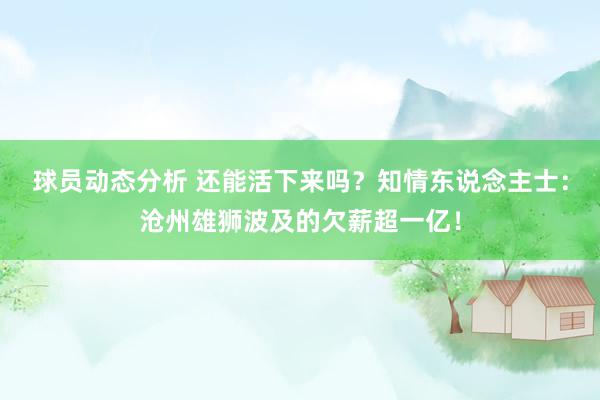 球员动态分析 还能活下来吗？知情东说念主士：沧州雄狮波及的欠薪超一亿！