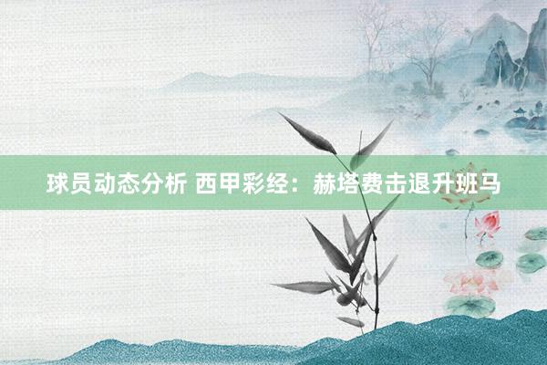 球员动态分析 西甲彩经：赫塔费击退升班马