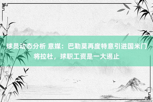 球员动态分析 意媒：巴勒莫再度特意引进国米门将拉杜，球职工资是一大遏止